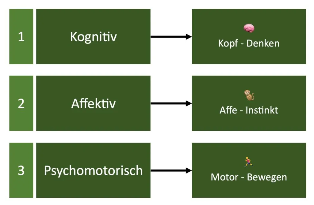 Merksatz: Kognitiv - Affektiv - Psychomotorisch merken